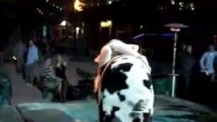 Drunk Chick Shows Her Ass-Hole On A Mechanical Bull (no Panties)