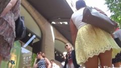 Upskirt Young College Girl
