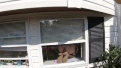 Must Watch!!! Suggestive Wet Milf Caught By Mailwoman Having A Toy Orgasm!! :)