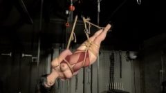 Suspension Bondage And Artistic Rope Works Of Tied Up Amateur Bondage hottie